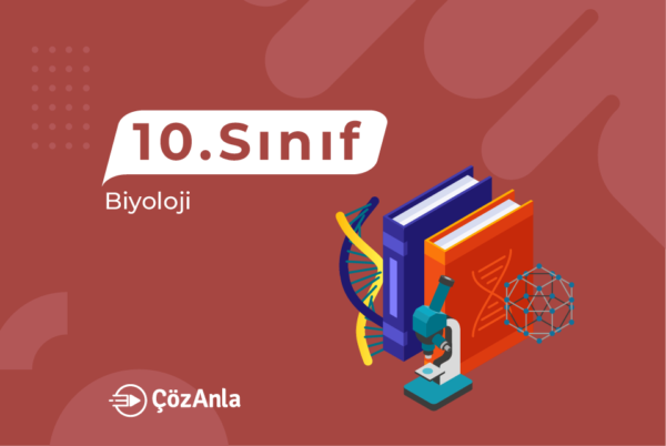 ÇözAnla 10. Sınıf Biyoloji
