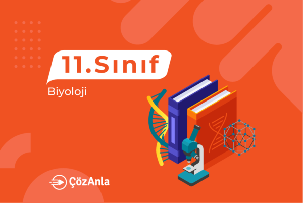 ÇözAnla 11. Sınıf Biyoloji